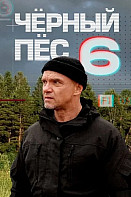 Чёрный пёс 6