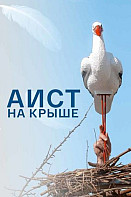Аист на крыше (2021)