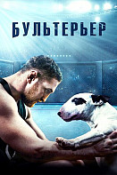 Бультерьер (2022)