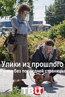 Роман без последней страницы. Улики из прошлого (2020)