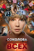 Соколова подозревает всех (2022)