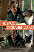 Не моё собачье дело (2020)