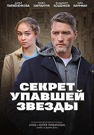 Секрет упавшей звезды (2024)