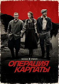 Операция «Карпаты» (2024)
