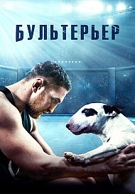 Бультерьер (2022)