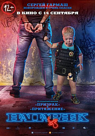 Напарник (фильм 2017)