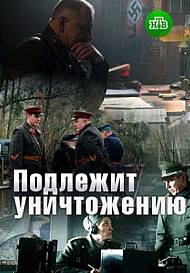 Подлежит уничтожению (2019) Сериал