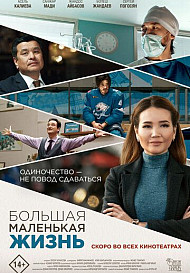 Большая маленькая жизнь (2020)